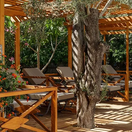 Dolce Luxury فندق