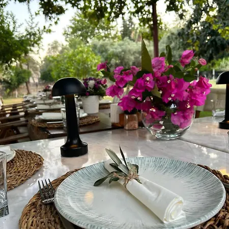 Dolce Luxury Hotell