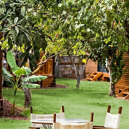 Hotel Dolce Luxury