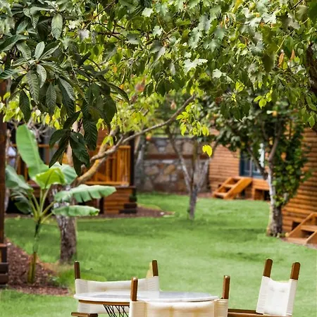 Hotel Dolce Luxury